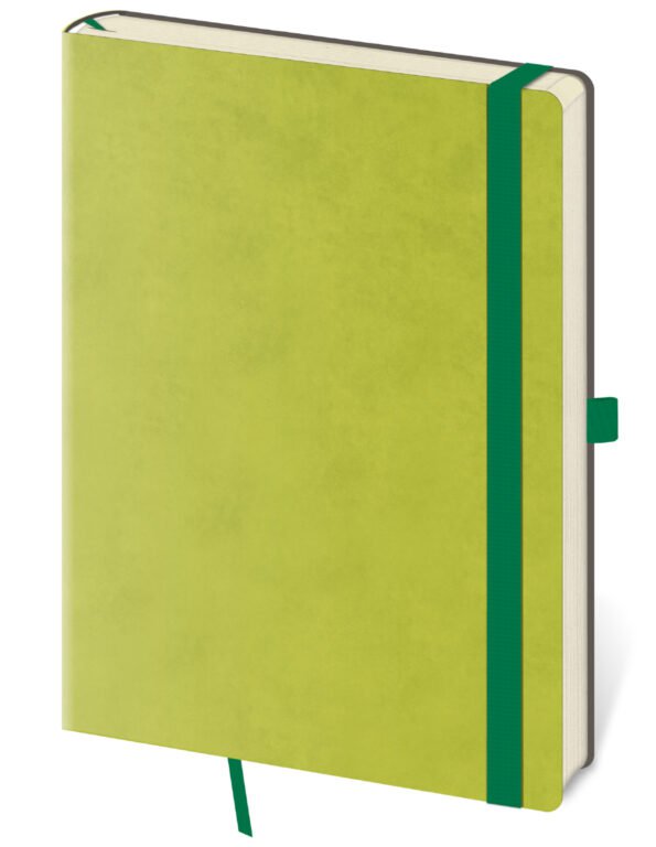 Tečkovaný zápisník Flexies L Light Green (čtverečkovaný)