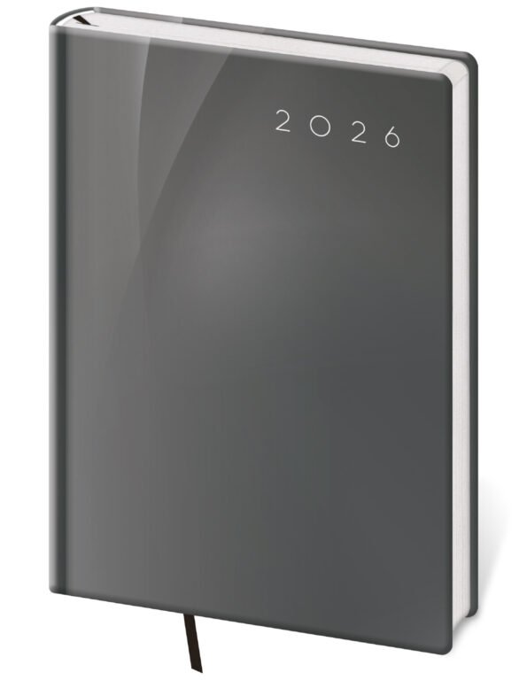 MEMORY (imitace pravé kůže) - Denní diář A5 Vario Grey design