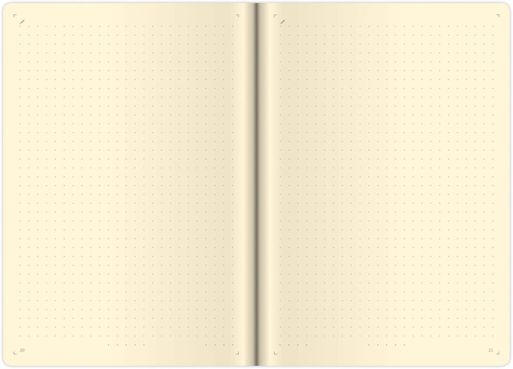 Zápisníky, poznámkové bloky, deníky a notesy - Tečkovaný zápisník Flexio L Blue (čtverečkovaný)