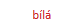 bílé zápisníky